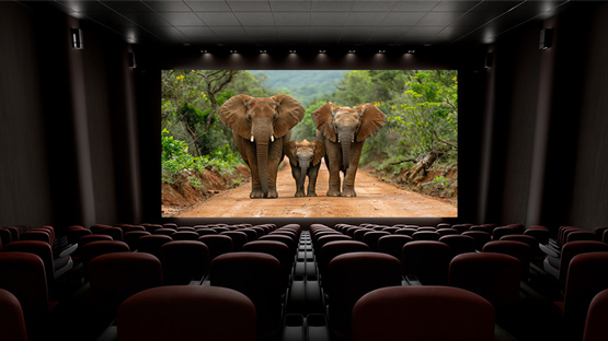 Cursos conversacionales de inglés en Bogotá para empresarios y comunicación profesional